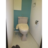 トイレの模様替え(内装工事）