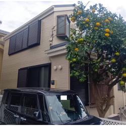 日本ペイント：グランセラトップ１液水性