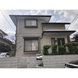 日本ペイント：パーフェクトトップ