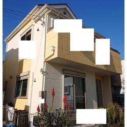 日本ペイント：ファインパーフェクトトップ