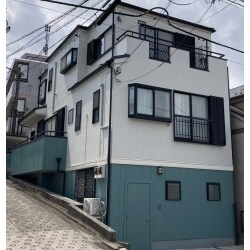 日本ペイント：パーフェクトトップ
