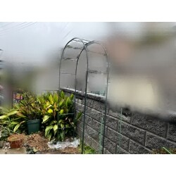 バラ用のフラワーアーチの設置です