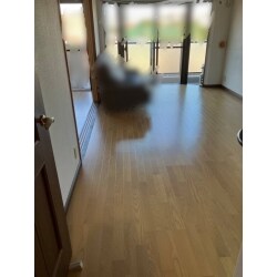 フローリングを張り替えました。お部屋の印象がとても明るくなりました。