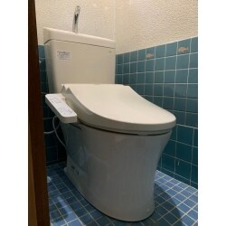 元々のトイレが、水が流れなくなってしまったため、取り替えを希望されました。