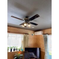 ウッド調の可愛らしいクロスに張替