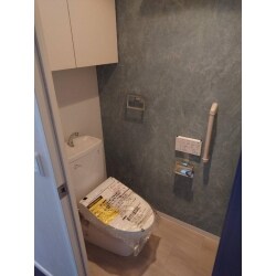 ダークグリーンのアクセントでオシャレなトイレに！