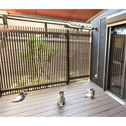 夏でも快適！猫ちゃんの為のオーニング