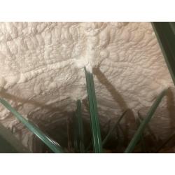 屋根裏断熱・床下断熱・開口部断熱と言うことで家中の断熱工事を行いました。