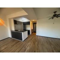 築30年のマンション全面改修(水廻り・間取り変更)