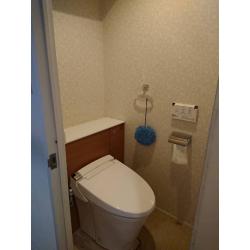 タンクが隠れて収納になっているトイレです