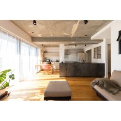 木漏れ日のやわらかさを暮らしに広げていく住まい