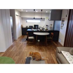 暖かいLDKを造りました。