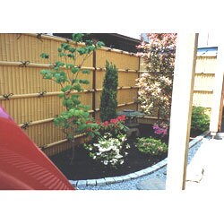 落ち着きの中に、華やかさを感じさせる空間