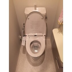 トイレを入れ替えて落ち着きのある空間に