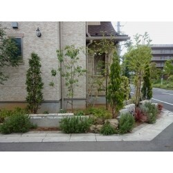 植栽を整えスッキリしました。