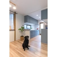 色にこだわったリフォーム