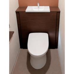 トイレ小物や掃除道具が収納できる、収納一体型トイレにリフォーム。広々とした印象に。
