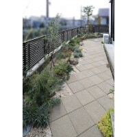 窓から草花を楽しむ!ナチュラルガーデン