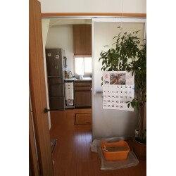 来客時リビングからキッチンが丸見えになる事が困るという事から引き戸を設置しましたが、暗くなることがあるので採光タイプの引き戸を設置しました。