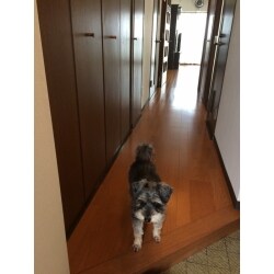 ２日間の短期間工事

 住みながらでも、ワンちゃんいてもＯＫ!!
