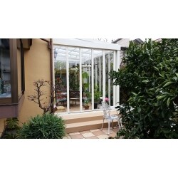 サンルームで観葉植物とくつろぎのひとときを