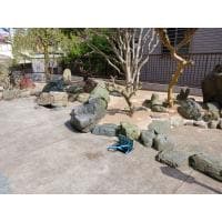 広いお庭の雑草封じ込め対策