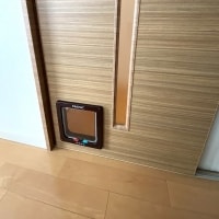 猫ちゃんの暮らしに新たな動線を。ペットが出入りする専用ドア