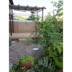 既存の木のデッキも解体して、新たに広い木樹脂デッキにつくりかえました。ここは洗濯物干場にもなり、お孫さんたちが走り回る遊び場にもなります。レンガ敷きは施主にて再施工しています。どこかを自分たちでつくると愛着もわきますね。
