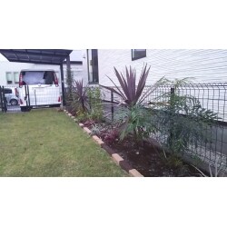 存在感のあるコルディリネを中心とした、ドライ系の植栽でまとめました。基本は常緑、宿根だが、四季の変化が感じれるように一年草も入れています。緑がなく何処か寂しかった門塀にも生命力が強いシマトネリコを入れ、とても雰囲気良くなりました。