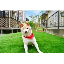お庭で愛犬と楽しめる空間にしたいとご相談いただきました。


ワンちゃんがお庭で走り回れるように、庭全体に広い人工芝を敷いてローメンテナンスなドッグランに。
ガーデンルームはLIXILのココマ（cocoma）をご提案。


樹脂デッキとテラスを繋げ、テラス屋根は移設再利用し機能的な空間へ。
ルーム前に花壇と白いアメリカンフェンスを設け、グリーンを配植することで癒しの空間へと仕上げました。


ガーデンルームにはダウンライト、植栽の足元にはポール灯とスポットライトを入れ、夜のガーデンもしっかりと演出。
ご相談から一年越しの思いの詰まった夢のガーデンルームとなりました。