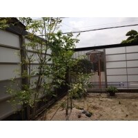 直方市 A様邸 ガーデン工事