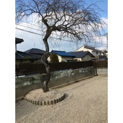 S様邸　庭工事