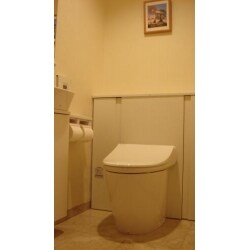 収納つきシステムトイレＴＯＴＯのレストパルシリーズを採用しました。約７ｃｍほど奥行きがコンパクトになり尚且つサイドに収納が付いていますので掃除道具が納まってスッキリしています。手洗器もコンパクトなタイプにして以前よりもトイレが広く感じられます。
