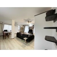 家族も猫も嬉しい!戸建てリノベーション