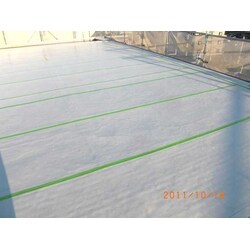 住まいを回復、大きなお宅のリフレッシュ