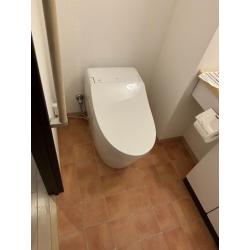 既存のトイレは長年使用されていた組み合わせタイプでしたが、タンクレスのようなスッキリしたデザインにより、限られた空間でも広々とした印象となりました。