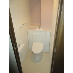 しっかり収納の出来るキャビネットで清掃性も改善し、スッキリ明るいトイレになりました。