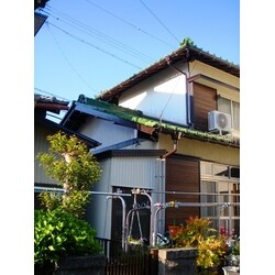 外壁塗装リフォーム