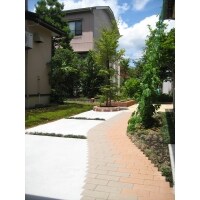 お手入れの煩わしさを解消した 緑を楽しむ庭。