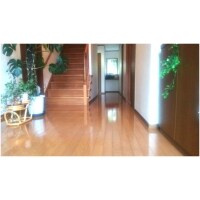 フロアUV塗装により室内犬の滑り止め効果や清掃性もUP!