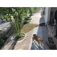 草取りの負担を無くし、畑仕事も楽しめるお庭に!