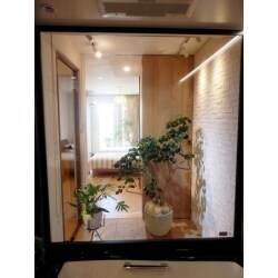 浴室から見たパティオ（中庭）