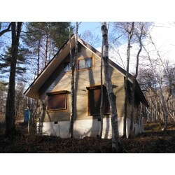 窓回りにモールを施し、山小屋風のイメージに仕上げました。