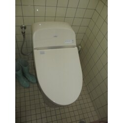 タンク式トイレですが、タンクの高さも奥行きもぐっとコンパクトなタイプですので、トイレ内の空間がスッキリしました。見た目はタンクレス風ですが、水圧を気にせずしっかり流せるタンク付ウォシュレット一体形便器ですので、少ない水でもしっかり、清潔に洗浄してくれます。（トルネード洗浄）　　使用商品【TOTO　GG３】