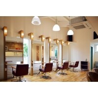 店舗改装 木のぬくもり&清潔感の融合サロンへ