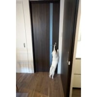 猫と暮らすおとな空間