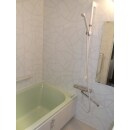 緑の浴槽とラウンドラインホワイトの鏡面の壁のコーディネートで清潔なイメージです。
シャワー部は、スライドフックで高さ調節が自在なだけでなく、握りバーとしても使用出来ます。