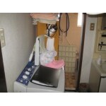 Before