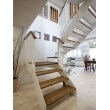 階段自体をオープンなデザインにすることでLDKをひとつの空間とし、家全体の一体感を演出。