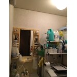 Before